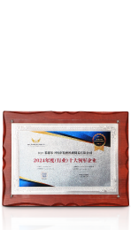 2024年度(行业)十大领军企业